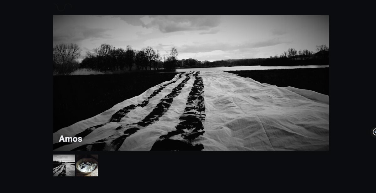 amos-van-gelder-gallery-5.png