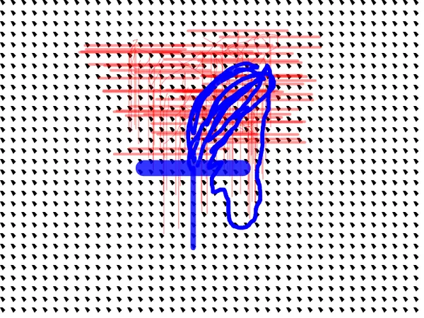 Kuif-kam.webp