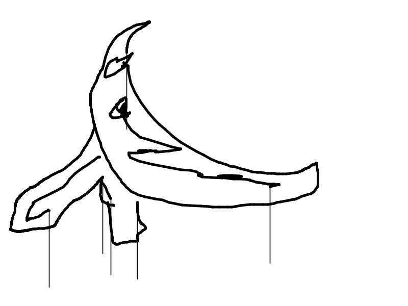drawing_15a0bf66-608b-40bc-a25f-6ef55c81c909_Banana.png